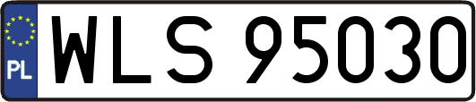 WLS95030