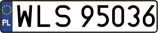 WLS95036