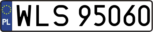 WLS95060