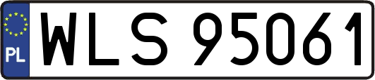 WLS95061
