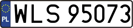 WLS95073
