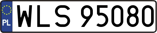 WLS95080
