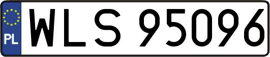 WLS95096