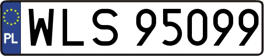 WLS95099