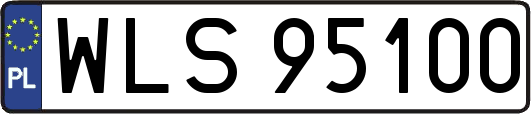 WLS95100