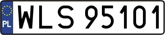 WLS95101