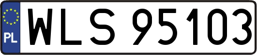 WLS95103