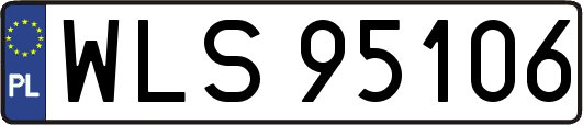 WLS95106