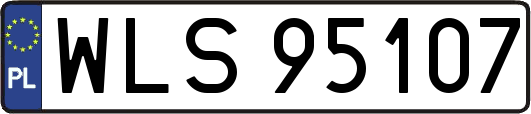 WLS95107
