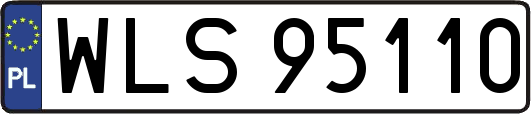 WLS95110