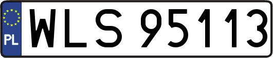 WLS95113