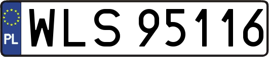 WLS95116