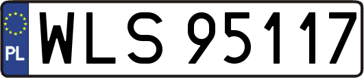 WLS95117