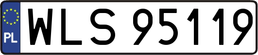 WLS95119