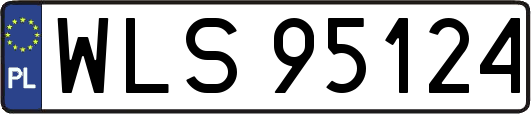 WLS95124