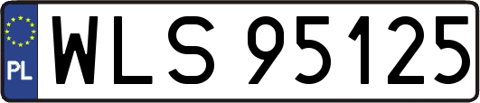 WLS95125