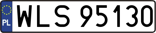 WLS95130