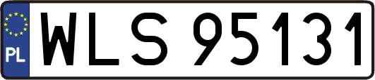 WLS95131