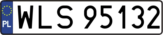 WLS95132