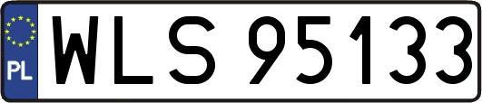 WLS95133