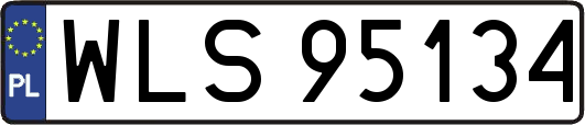 WLS95134
