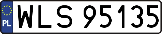 WLS95135