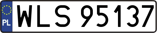 WLS95137