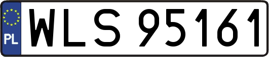 WLS95161