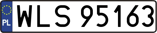 WLS95163