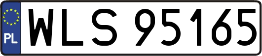 WLS95165