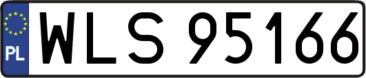 WLS95166