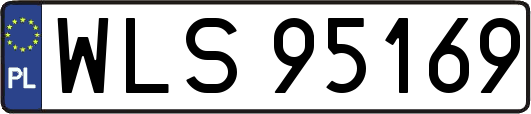 WLS95169
