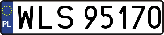 WLS95170