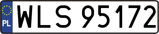 WLS95172