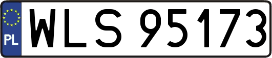 WLS95173