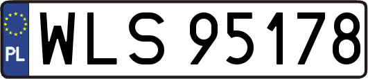 WLS95178
