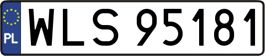 WLS95181
