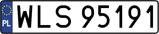 WLS95191