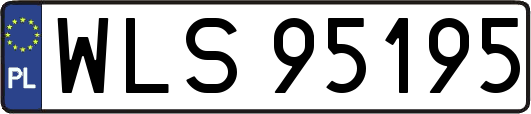 WLS95195