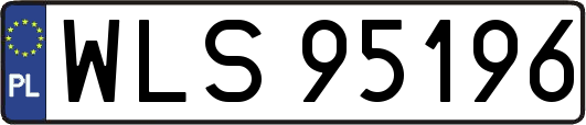 WLS95196