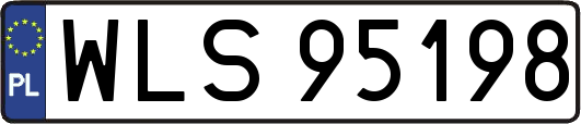 WLS95198