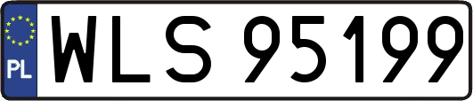 WLS95199