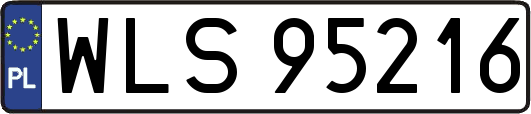 WLS95216