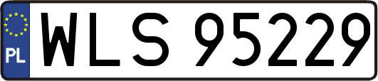 WLS95229