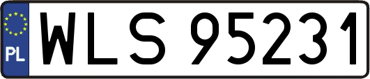 WLS95231