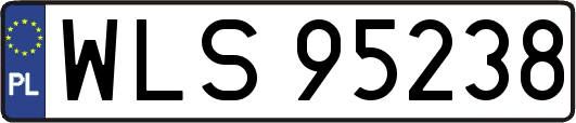 WLS95238