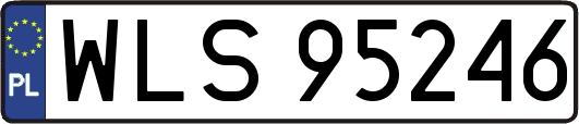 WLS95246
