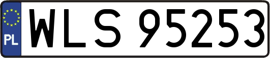 WLS95253