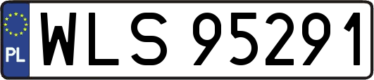 WLS95291