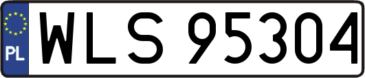 WLS95304